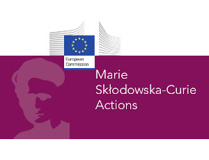 Marie Skłodowska-Curie Doctoral Networks (DN)