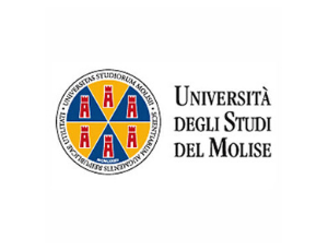 University of Molise z Włoch poszukuje partnera do projektu w ramach programu Komisji Europejskiej VP/2020/007: